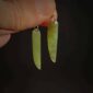 Pounamu, earrings, pointed, roimata (1)