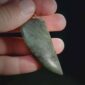 pounamu, niho, tooth, strength, jade, maori, carving, mako (7)