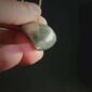 pounamu, niho, tooth, strength, jade, maori, carving, mako (8)