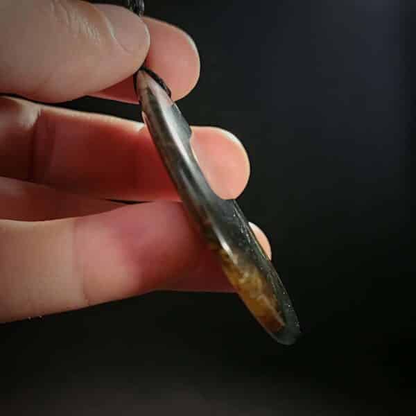 20250209_184127 20250209_184127