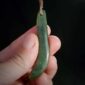 kapeu, pounamu, kahurangi, kawakawa, taonga, māori (2)