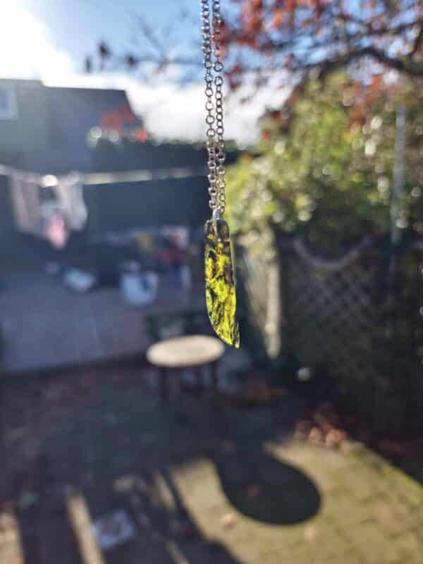 20250527_134335 20250527_134335