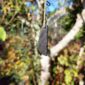 PAU11 Tangiwai Blade Pendant, pounamu, taonga (2)