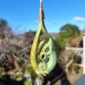 pounamu, raukaraka, manaia, hei matau, taonga, (3)