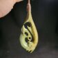 pounamu, raukaraka, manaia, hei matau, taonga, (7)