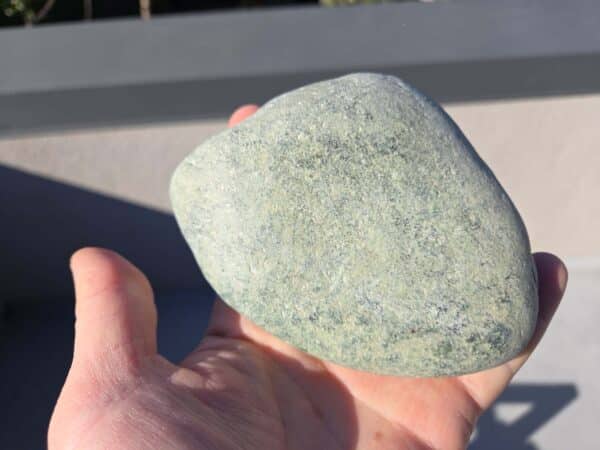 Kawakawa (5) Kawakawa (5)