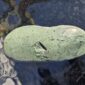 Touchstone, pounamu, display stone, mauri stone, kohatu, taonga, maori, inanga (2)