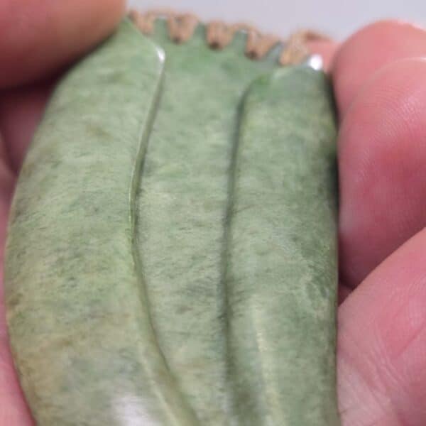 niho, tooth, taonga, pounamu, jade, nephrite (3) niho, tooth, taonga, pounamu, jade, nephrite (3)