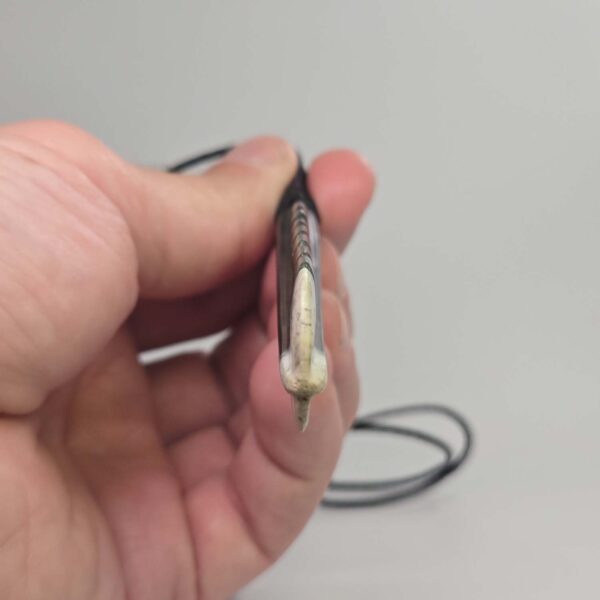 hui, feather, huia, taonga, pounamu, rau (1) hui, feather, huia, taonga, pounamu, rau (1)