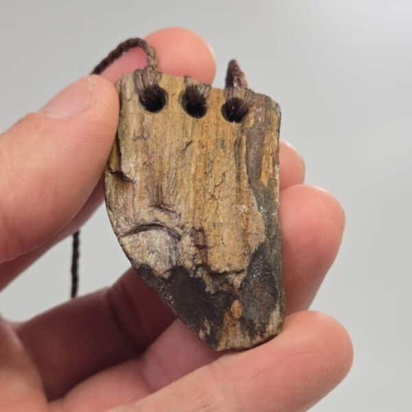 pertrified, fossilised, wood, taonga, niho, natural, rough (10) pertrified, fossilised, wood, taonga, niho, natural, rough (10)