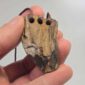 pertrified, fossilised, wood, taonga, niho, natural, rough (10)