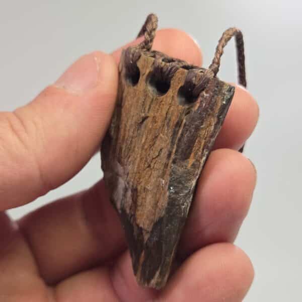 pertrified, fossilised, wood, taonga, niho, natural, rough (11) pertrified, fossilised, wood, taonga, niho, natural, rough (11)