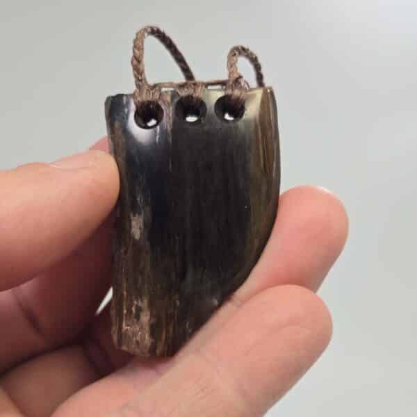 pertrified, fossilised, wood, taonga, niho, natural, rough (6) pertrified, fossilised, wood, taonga, niho, natural, rough (6)