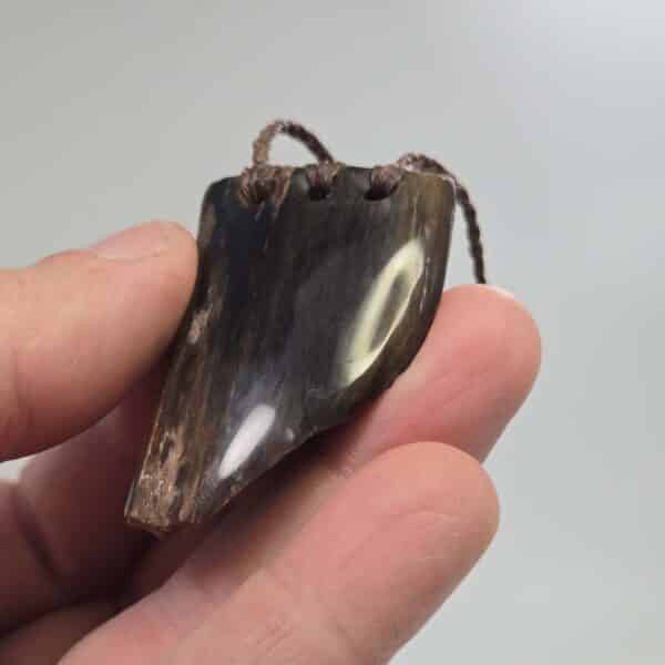 pertrified, fossilised, wood, taonga, niho, natural, rough (7) pertrified, fossilised, wood, taonga, niho, natural, rough (7)