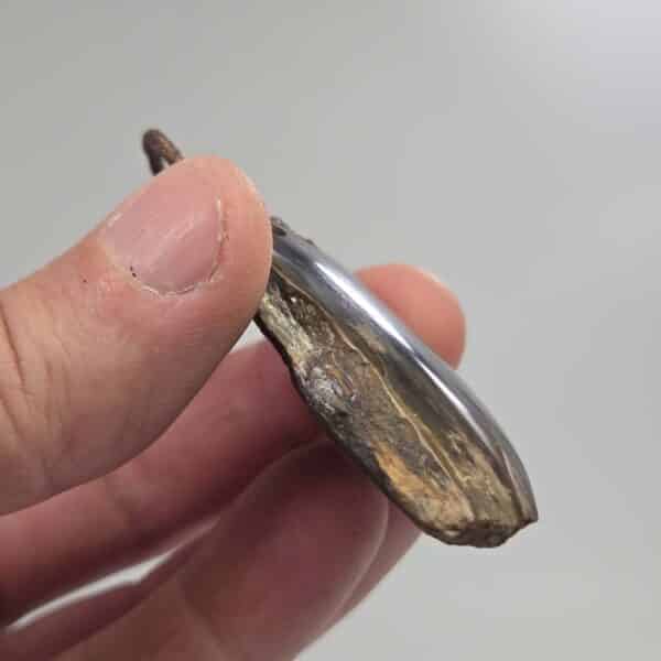 pertrified, fossilised, wood, taonga, niho, natural, rough (8) pertrified, fossilised, wood, taonga, niho, natural, rough (8)