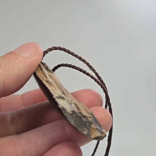 pertrified, fossilised, wood, taonga, niho, natural, rough (9) pertrified, fossilised, wood, taonga, niho, natural, rough (9)