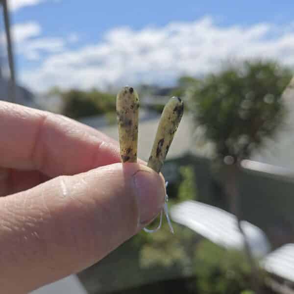 earring, kokopu, pounamu, taonga (2) earring, kokopu, pounamu, taonga (2)