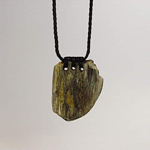 Niho Whenua – Agatised Petrified Wood Niho Taonga