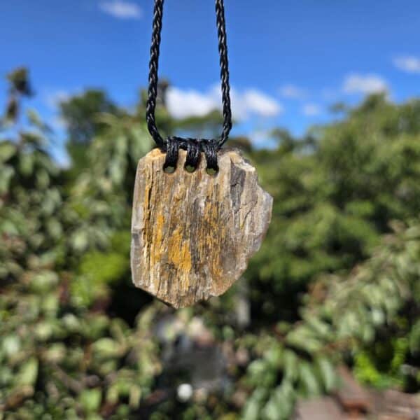 wood, niho, fossilized, petrified, taonga (5) wood, niho, fossilized, petrified, taonga (5)