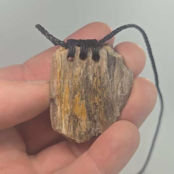 wood, niho, fossilized, petrified, taonga (8) wood, niho, fossilized, petrified, taonga (8)