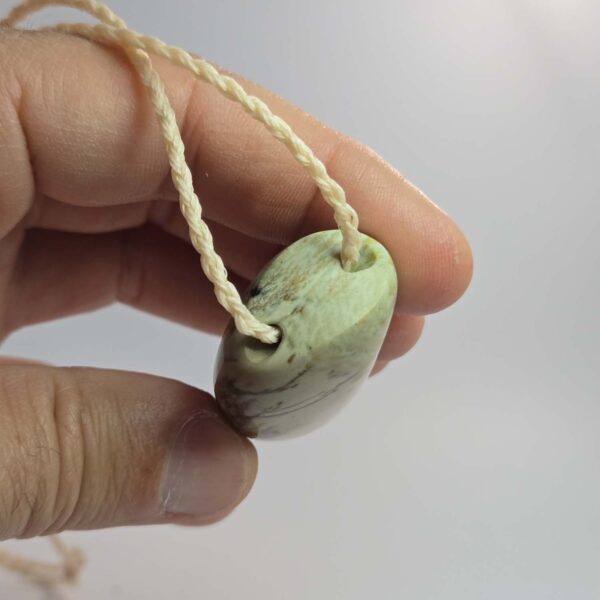 Cam110 Niho, taonga, pounamu, kokopu, jade tooth, taniwha (1) Cam110 Niho, taonga, pounamu, kokopu, jade tooth, taniwha (1)