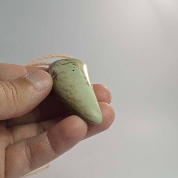 Cam110 Niho, taonga, pounamu, kokopu, jade tooth, taniwha (2) Cam110 Niho, taonga, pounamu, kokopu, jade tooth, taniwha (2)