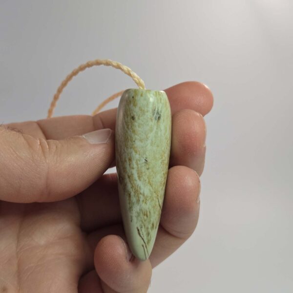 Cam110 Niho, taonga, pounamu, kokopu, jade tooth, taniwha (3) Cam110 Niho, taonga, pounamu, kokopu, jade tooth, taniwha (3)