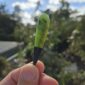 Cam118 Roimata, taonga, pounamu, kawakawa (5)