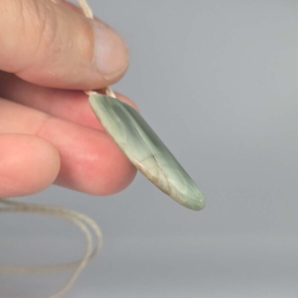 Cam125 Inanga, pounamu, niho, tooth, taonga (10) Cam125 Inanga, pounamu, niho, tooth, taonga (10)