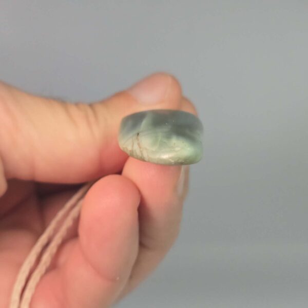 Cam125 Inanga, pounamu, niho, tooth, taonga (3) Cam125 Inanga, pounamu, niho, tooth, taonga (3)