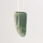 Cam125 Inanga, pounamu, niho, tooth, taonga (5)