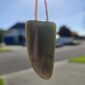 Cam125 Inanga, pounamu, niho, tooth, taonga (8)