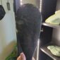 Cam132 Mere, takiri, douglas creek, taonga, patu, pounamu, mana, kaha (10)