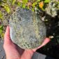 Cam137 Cobble, pounamu, serpentine, taonga, touchstone, display (9)