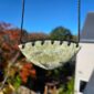Cam142 Tasman, Pounamu, kouma, taonga, breastplate (11)