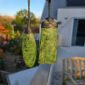 pounamu, set, toki, roimata, taonga (1)