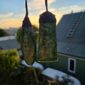 pounamu, set, toki, roimata, taonga (2)