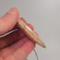silcrete, makarakara, kiripaka, taonga, niho, tooth, organge (7)