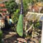 Cam152 Taonga, pounamu, jade, raukaraka, roimata (2)