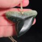 Cav24 Shark, mako, tiger shark, tooth, niho, pounamu, taonga (1)