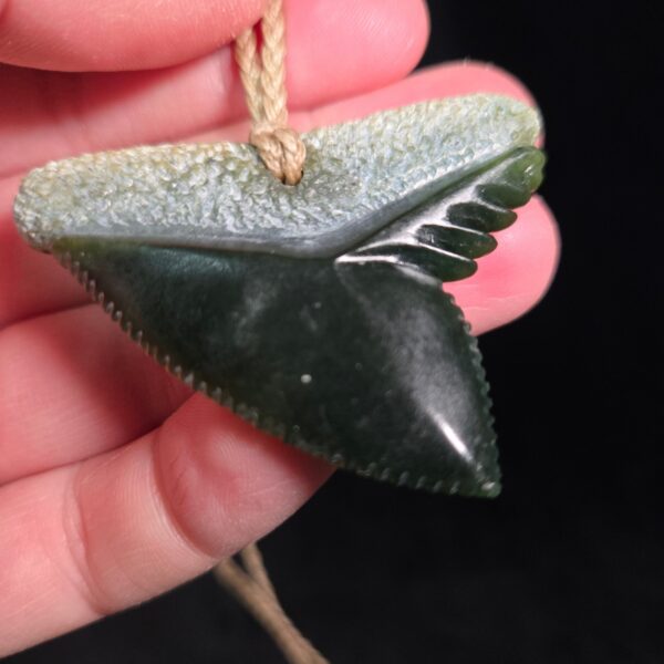 Cav24 Shark, mako, tiger shark, tooth, niho, pounamu, taonga (10) Cav24 Shark, mako, tiger shark, tooth, niho, pounamu, taonga (10)