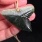 Cav24 Shark, mako, tiger shark, tooth, niho, pounamu, taonga (10)