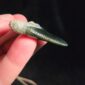 Cav24 Shark, mako, tiger shark, tooth, niho, pounamu, taonga (11)