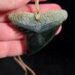 Cav24 Shark, mako, tiger shark, tooth, niho, pounamu, taonga (12)