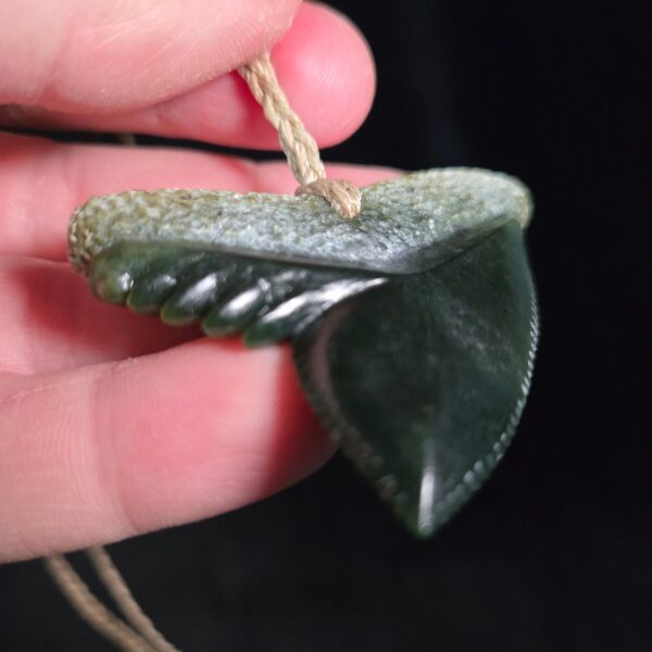 Cav24 Shark, mako, tiger shark, tooth, niho, pounamu, taonga (2) Cav24 Shark, mako, tiger shark, tooth, niho, pounamu, taonga (2)