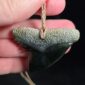 Cav24 Shark, mako, tiger shark, tooth, niho, pounamu, taonga (3)