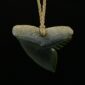 Cav24 Shark, mako, tiger shark, tooth, niho, pounamu, taonga (4)
