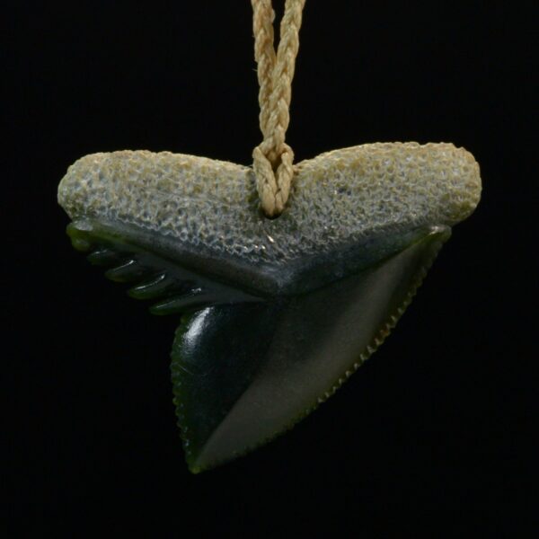 Cav24 Shark, mako, tiger shark, tooth, niho, pounamu, taonga (5) Cav24 Shark, mako, tiger shark, tooth, niho, pounamu, taonga (5)