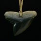 Cav24 Shark, mako, tiger shark, tooth, niho, pounamu, taonga (5)
