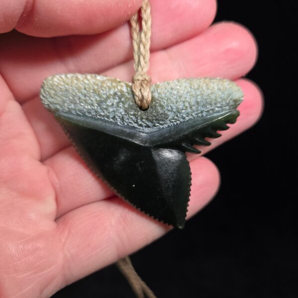 Cav24 Shark, mako, tiger shark, tooth, niho, pounamu, taonga (8) Cav24 Shark, mako, tiger shark, tooth, niho, pounamu, taonga (8)